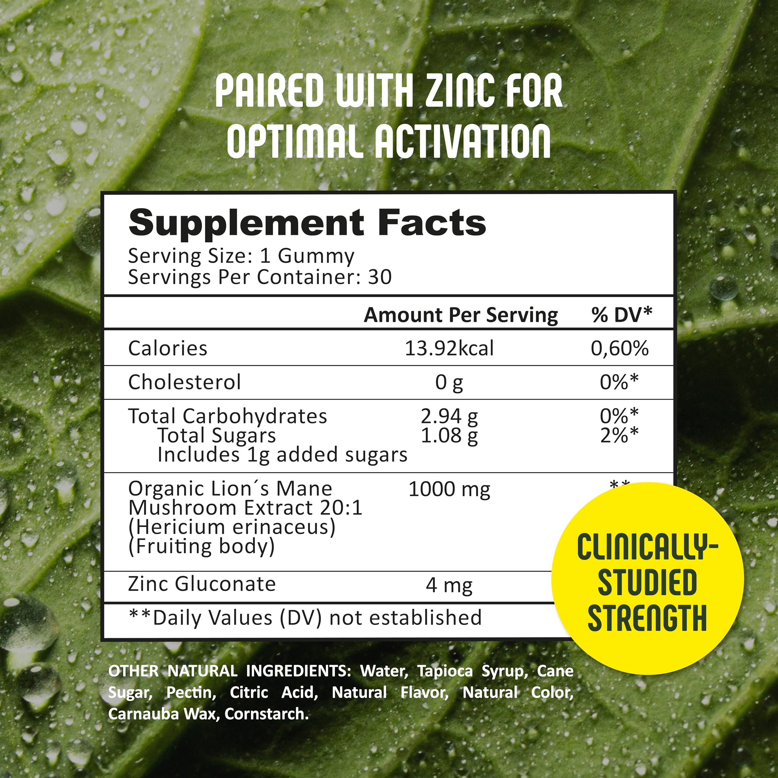 SE Nutrition Lion's Mane capsules close-up highlighting purity for daily use.