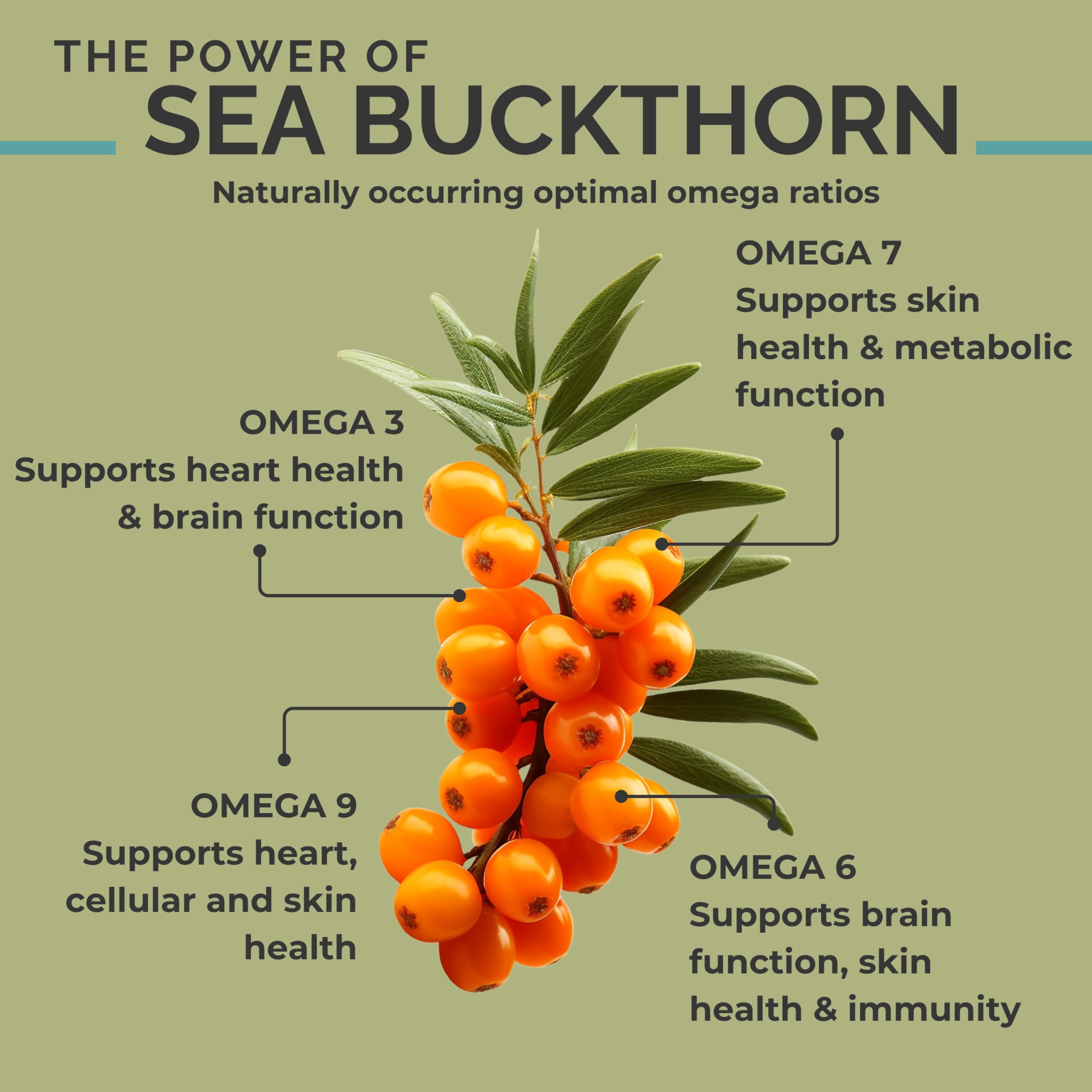 SEABUCKWONDERS sea buckthorn oil bottle highlighting premium organic sourcing.