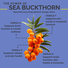 SEABUCKWONDERS Sea Buckthorn Oil pour bottle showing direct-use option