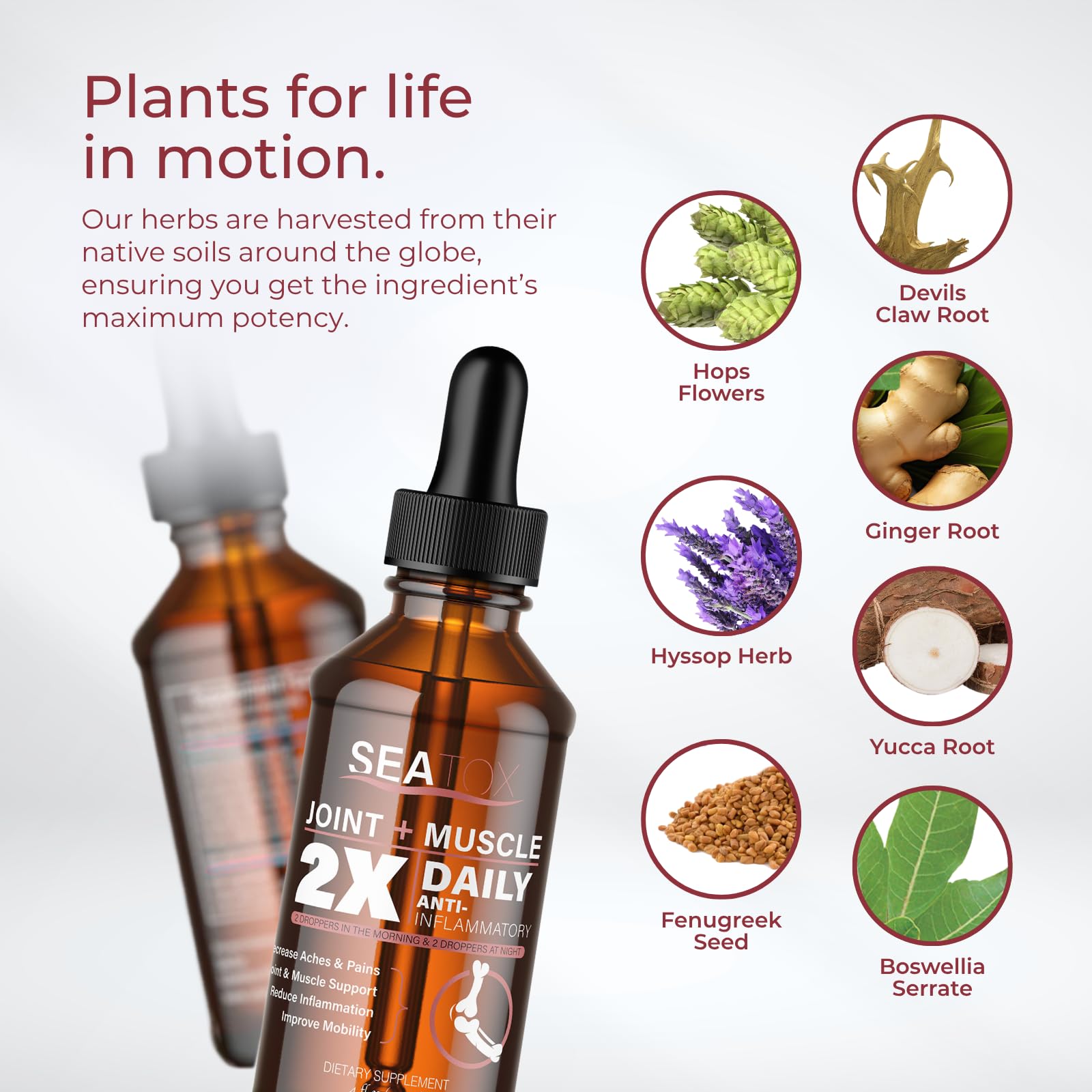 SeaTox Devils Claw herbal blend highlights natural ingredients