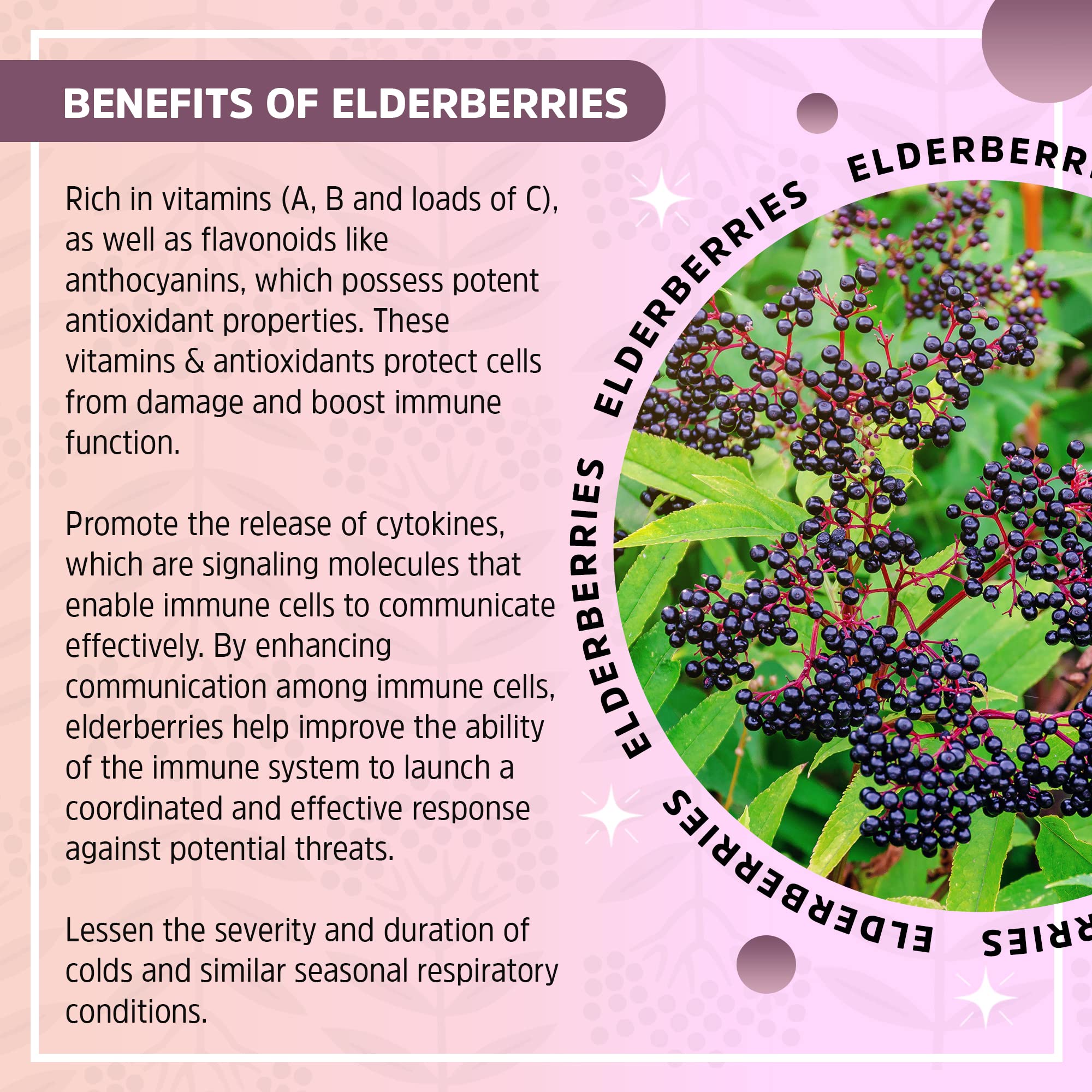 Seattle Elderberry Allergy Defense Gummies USA-made badge signals small-batch freshness