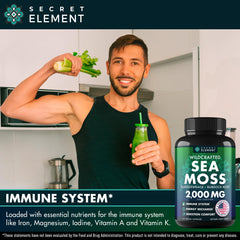 Secret Element Sea Moss Capsules close-up of capsules, easy to take with no fishy aftertaste