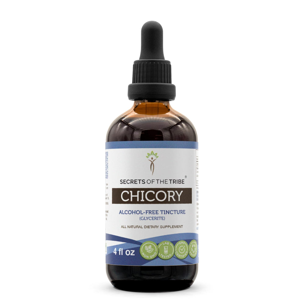 Secrets of the Tribe chicory tincture bottle front shows premium, alcohol-free extract for daily use.