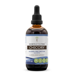 Secrets of the Tribe chicory tincture bottle front shows premium, alcohol-free extract for daily use.