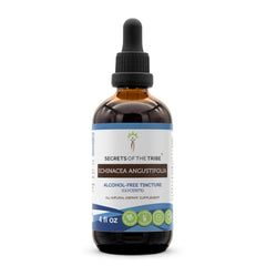 Secrets of the Tribe echinacea tincture bottle with dropper for easy dosing