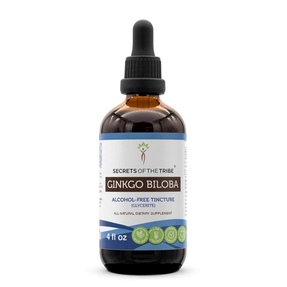 Secrets of the Tribe Ginkgo Biloba tincture bottle ready for daily use