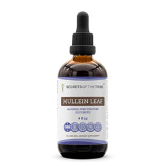 Secrets of the Tribe Mullein Leaf Extract bottle for easy daily dosing.