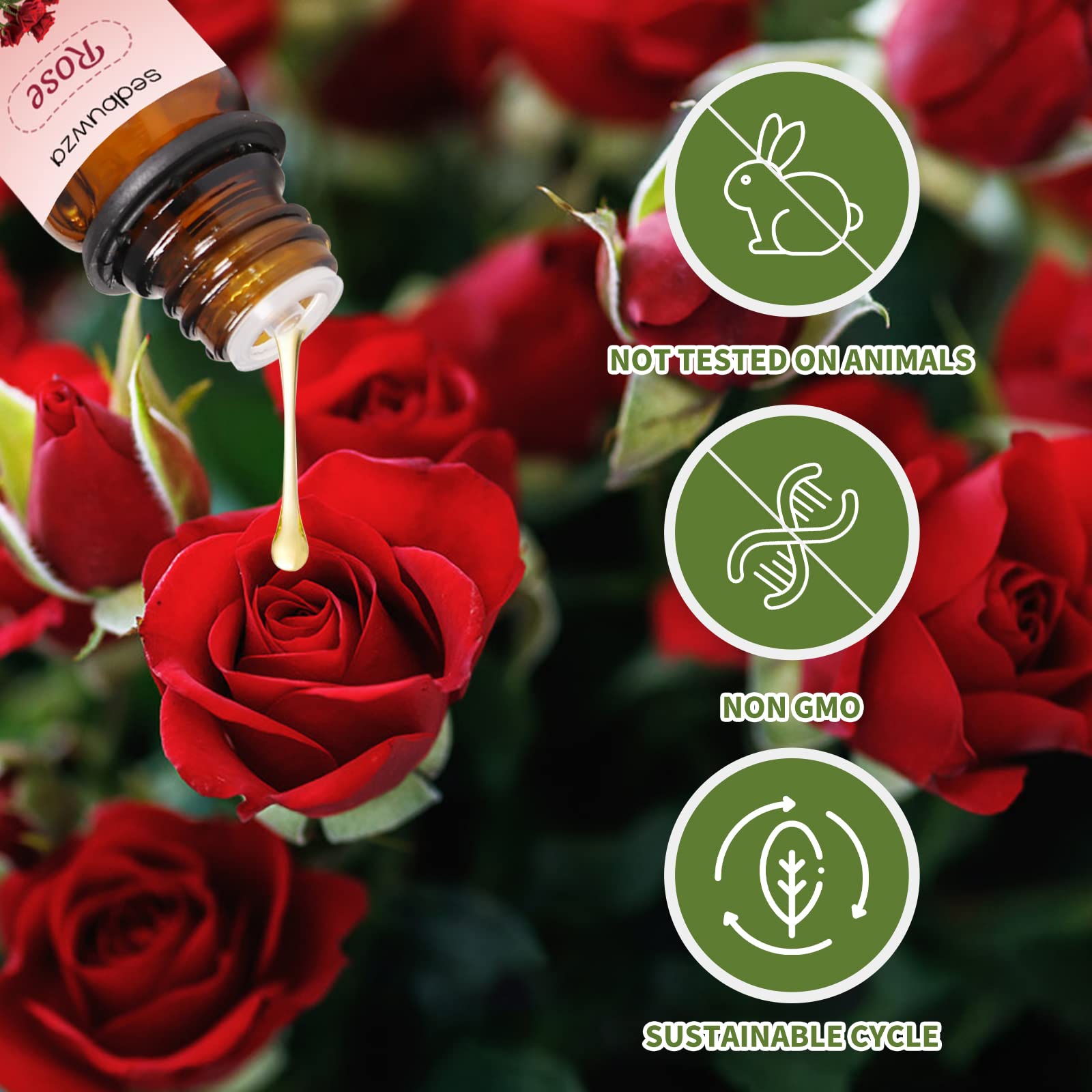 Sedbuwza diffuser usage of rose sandalwood oils for a gentle room fragrance.
