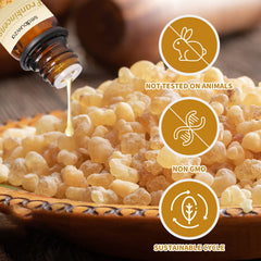 Sedbuwza diffuser-ready oil scene with gentle aroma release