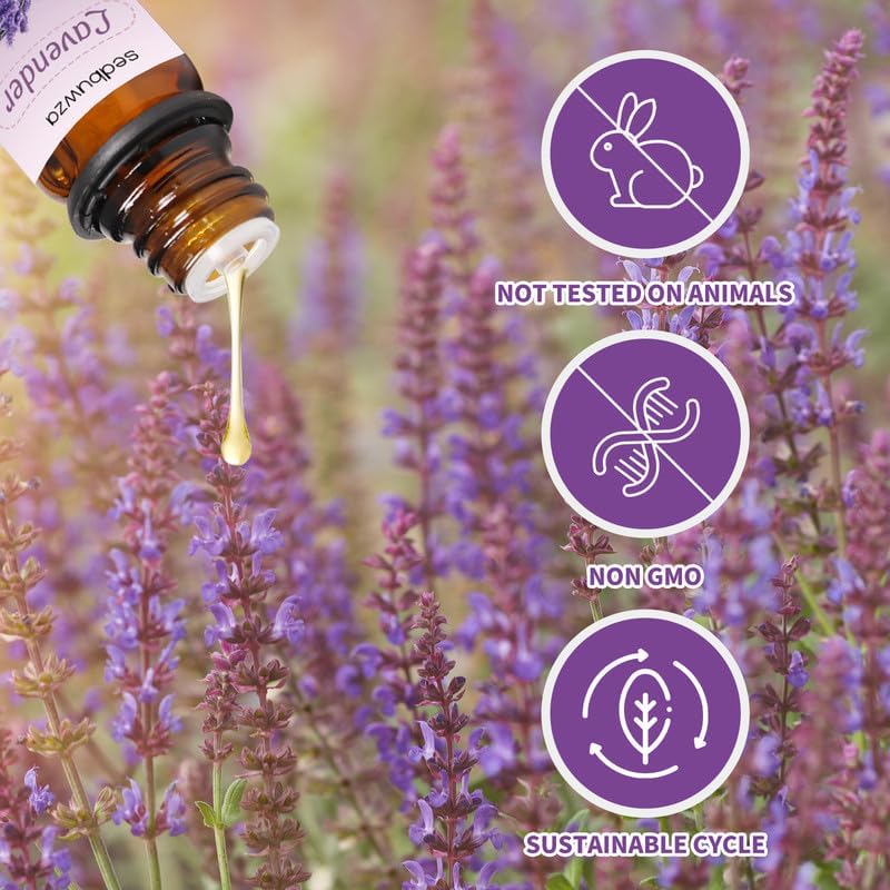 Sedbuwza Diffuser scene with oils, creating a calm ambiance in any room.
