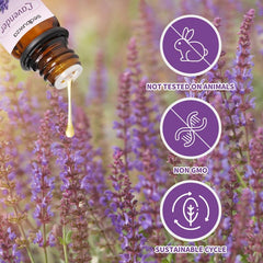 Sedbuwza Diffuser scene with oils, creating a calm ambiance in any room.