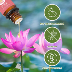 Sedbuwza diffuser setup scene for easy aromatherapy preparation.