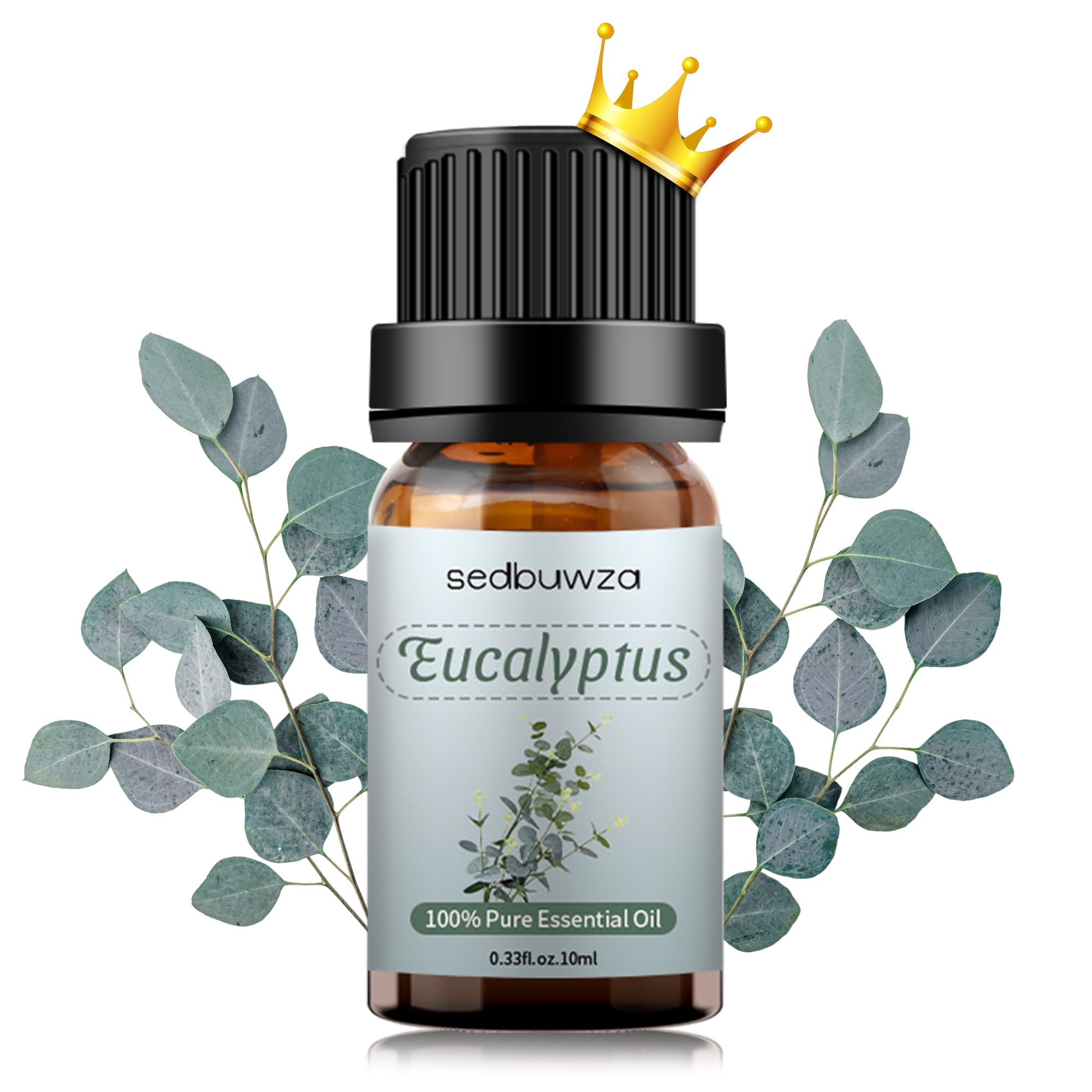 Sedbuwza eucalyptus oil bottle in amber glass for lasting aroma