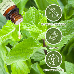 Sedbuwza orange oil fragrance for citrus aroma in diffusers and crafts