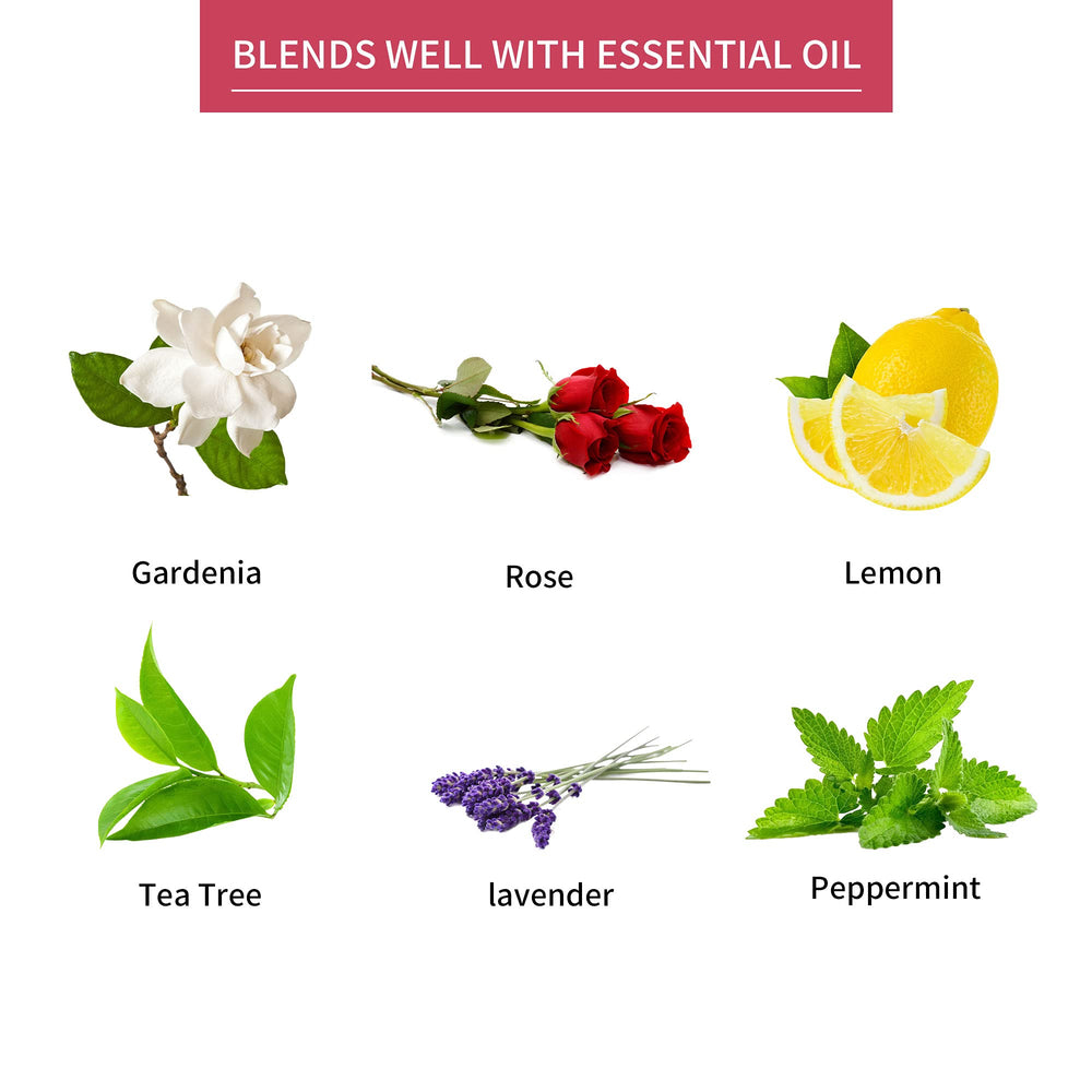 Sedbuwza Peony Aroma in Room demonstrates versatile home fragrance options.
