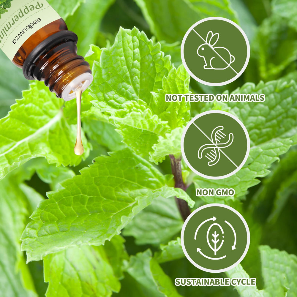 Sedbuwza peppermint oil bottle emphasizes refreshing menthol aroma for massage.