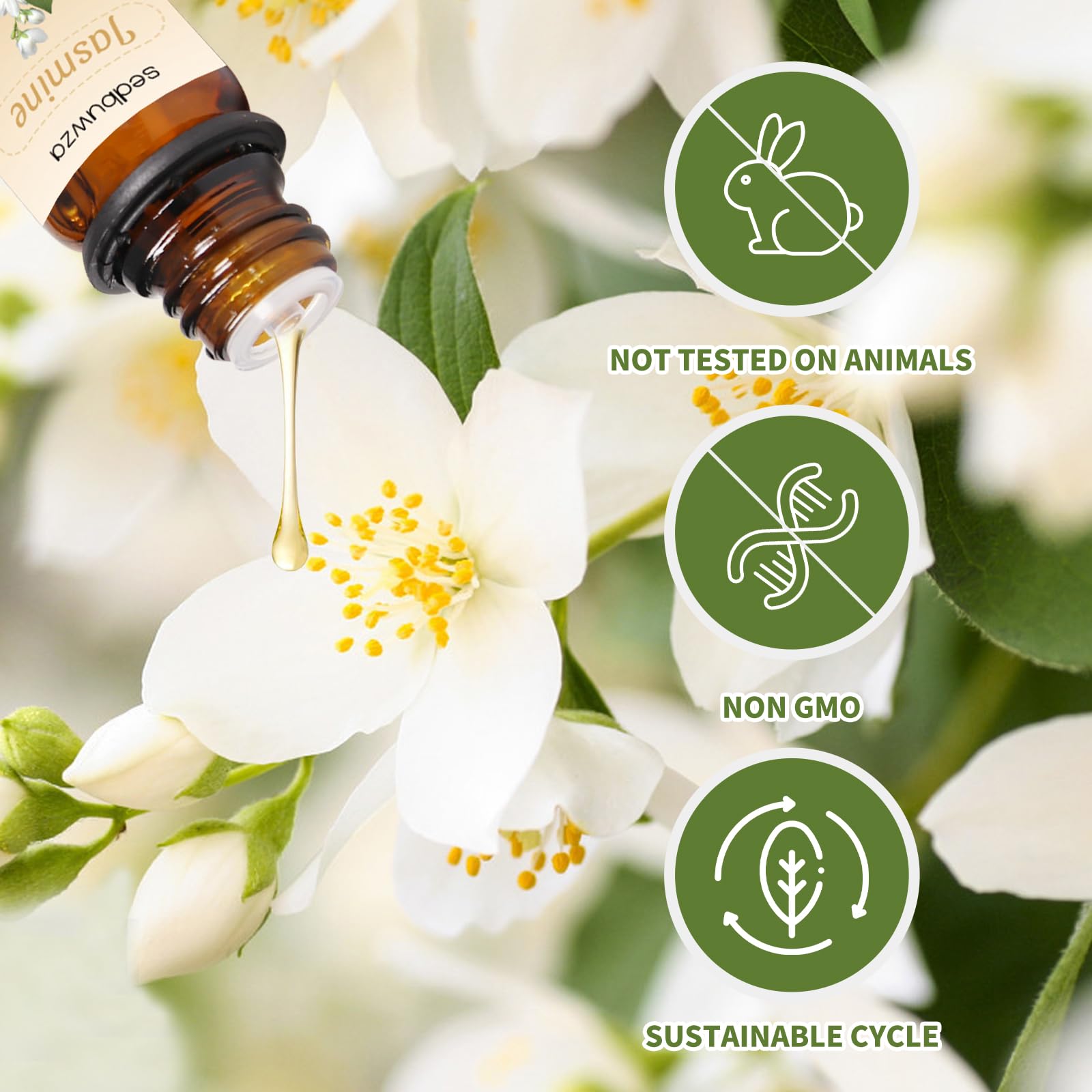 Sedbuwza Rose Jasmine bottles in diffuser setup for calming atmosphere
