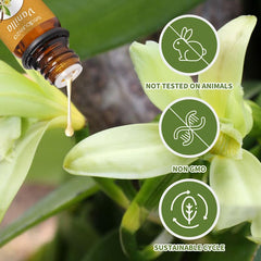 Sedbuwza vanilla scent for DIY candle making and home fragrance