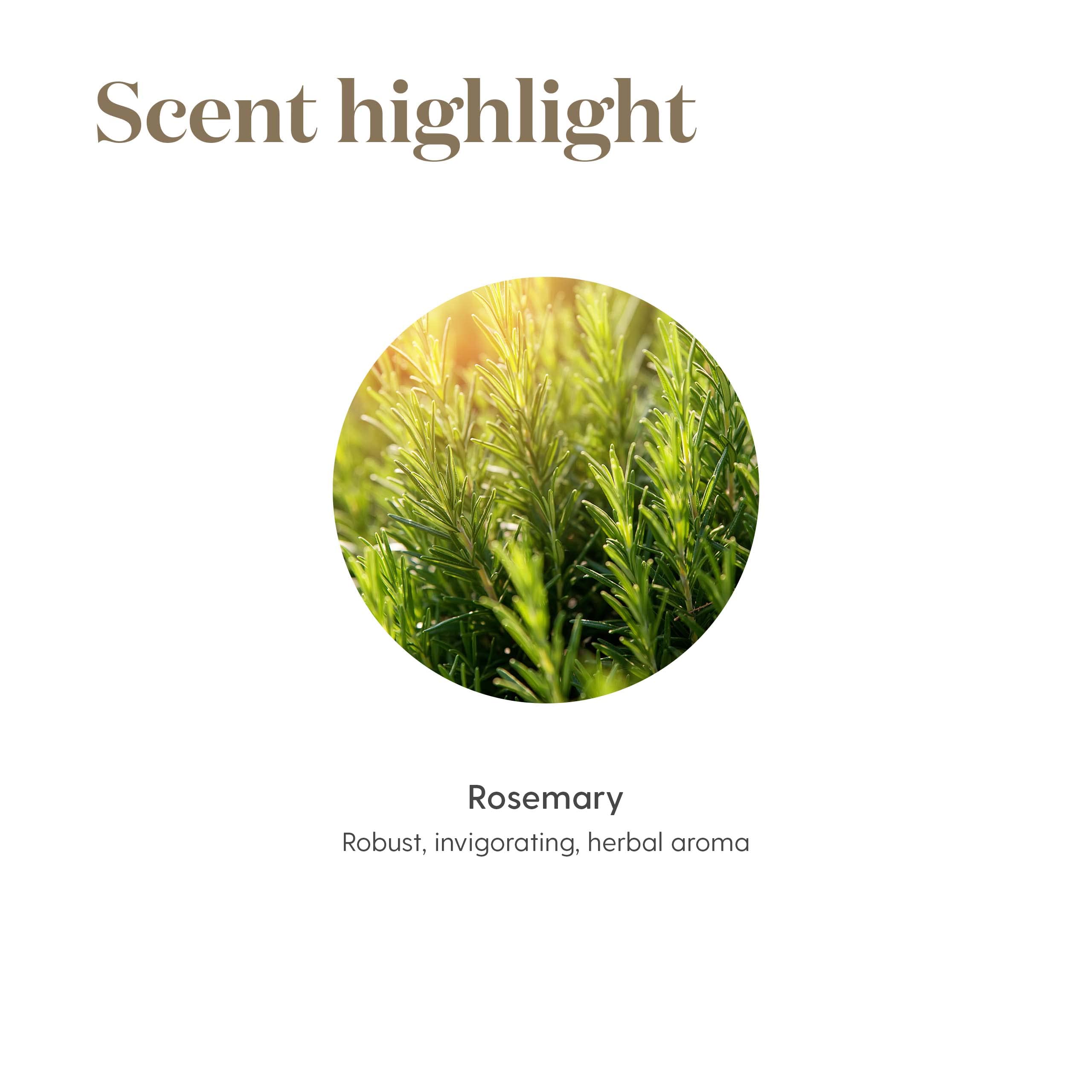 Seed to Seal promise demonstrates purity and responsible sourcing.