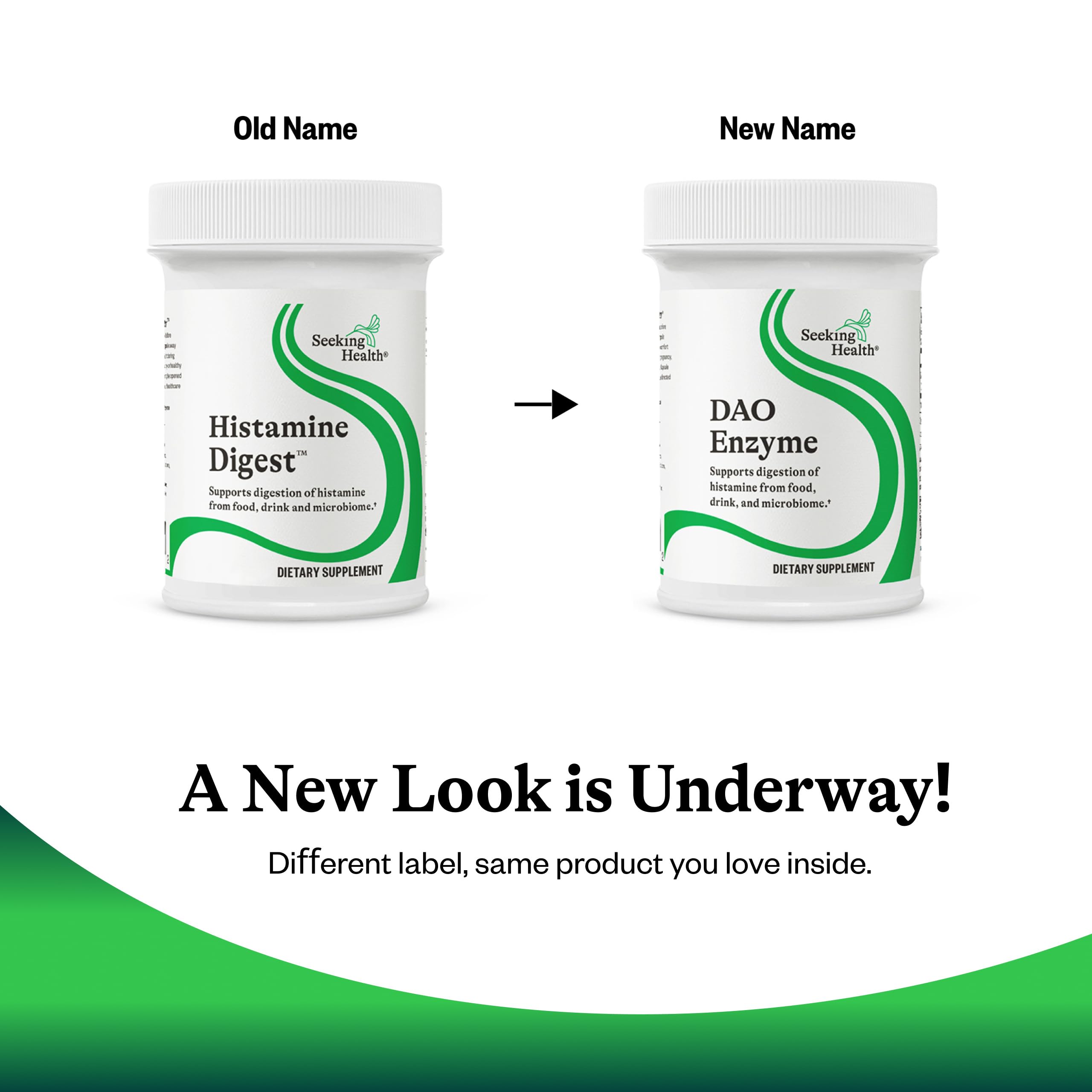 Seeking Health DAO Enzyme facts illustration, maps digestion support potential pathways.
