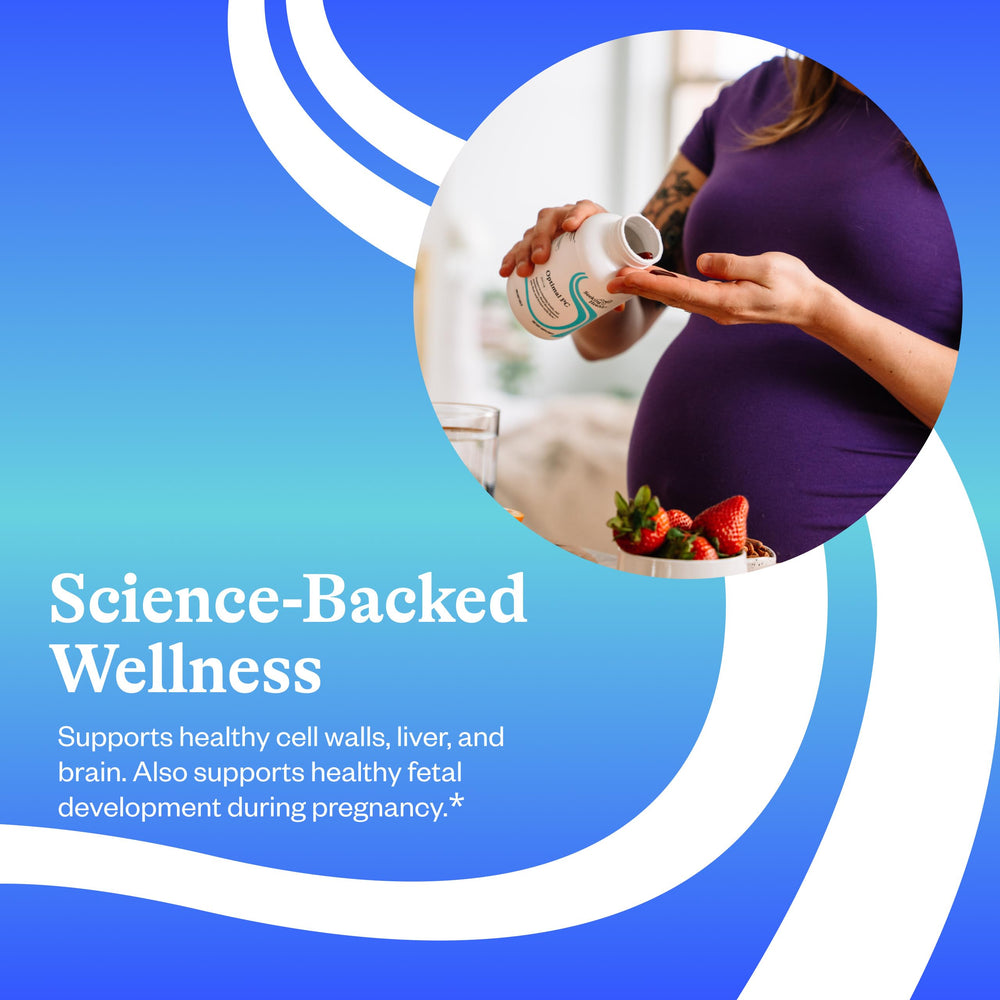 Optimal PC phosphatidylcholine from sunflower lecithin as premium choline source