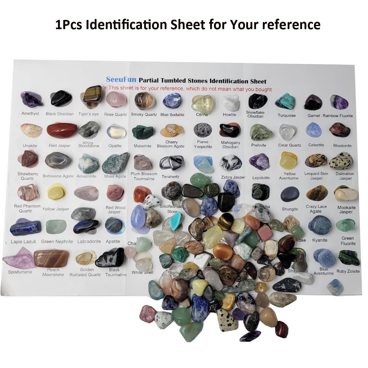SeeuFun rock collection for education and creative projects.