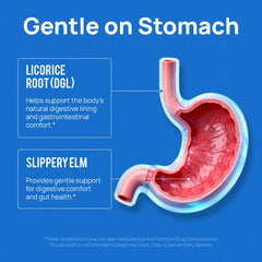 DGL licorice root graphic with Selerb label for digestive comfort