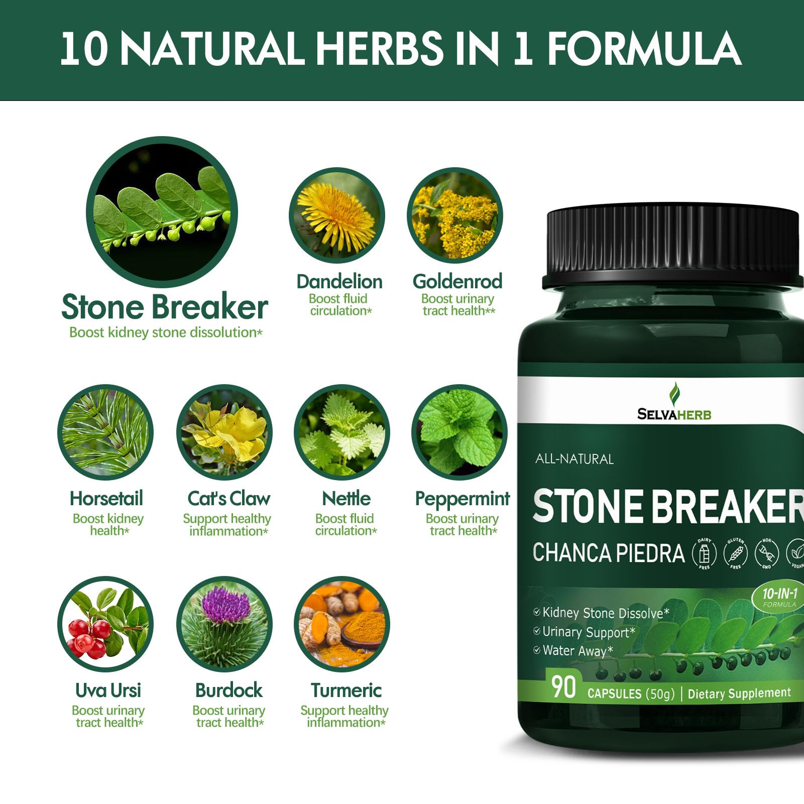 Selvaherb Stone Breaker label details on a 90-count bottle.
