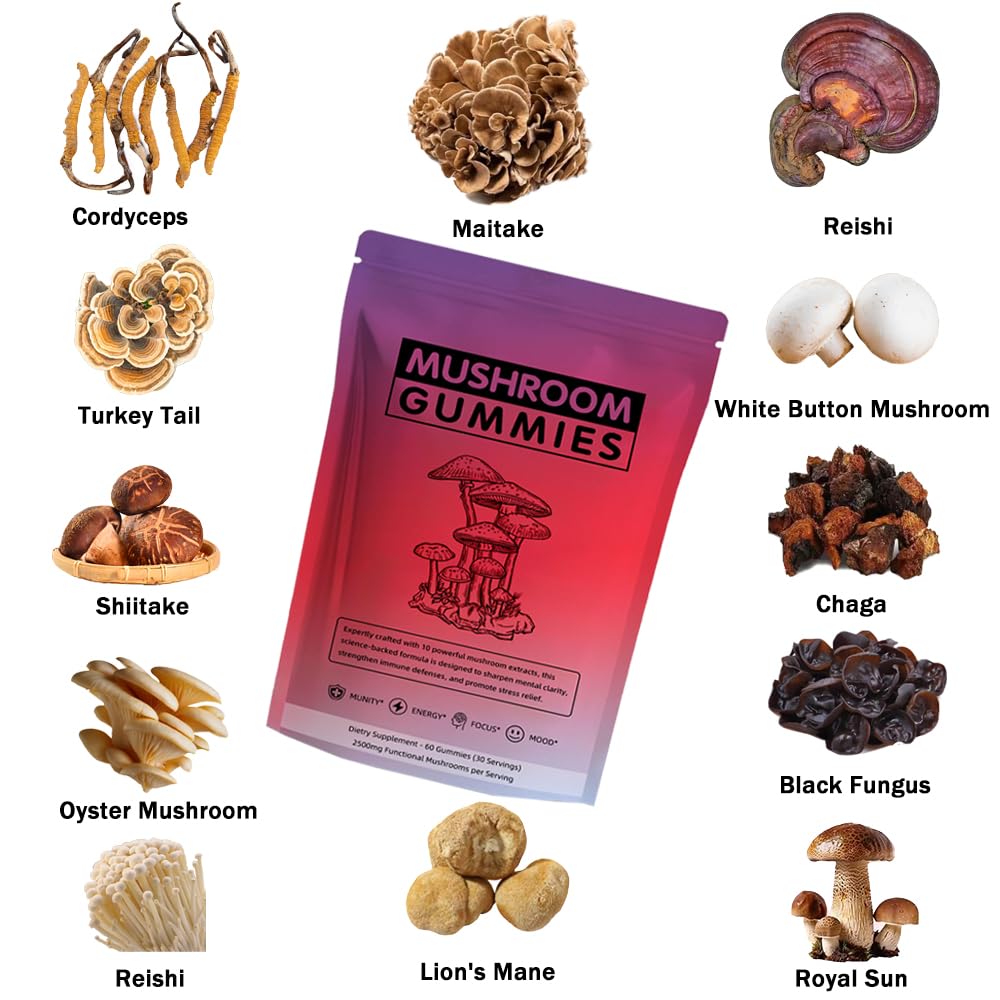 Seodon mushroom gummies ingredients closeup highlight nutrient-rich Lions Mane and Reishi.