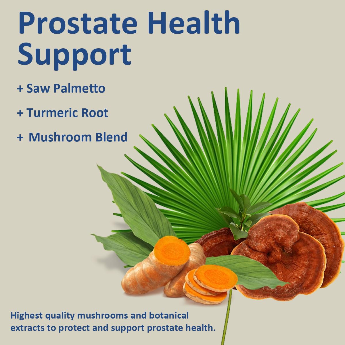 SERSANVE Prostate Health packaging—two-bottle bundle for comprehensive men's wellness.