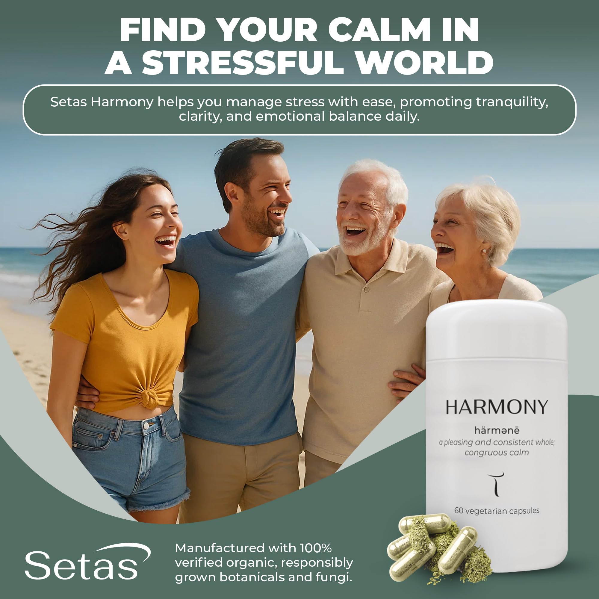 Setas Harmony calming mood scene at desk