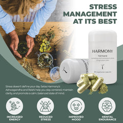 Setas Harmony capsules closeup showing vegan capsules for daily stress support