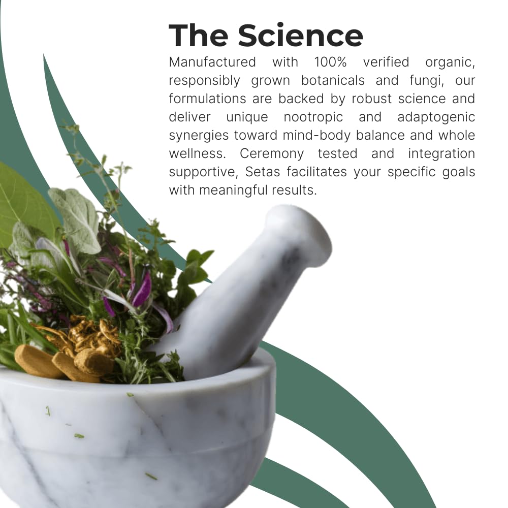 Setas Intention ginger and rhodiola components highlighted in graphic.