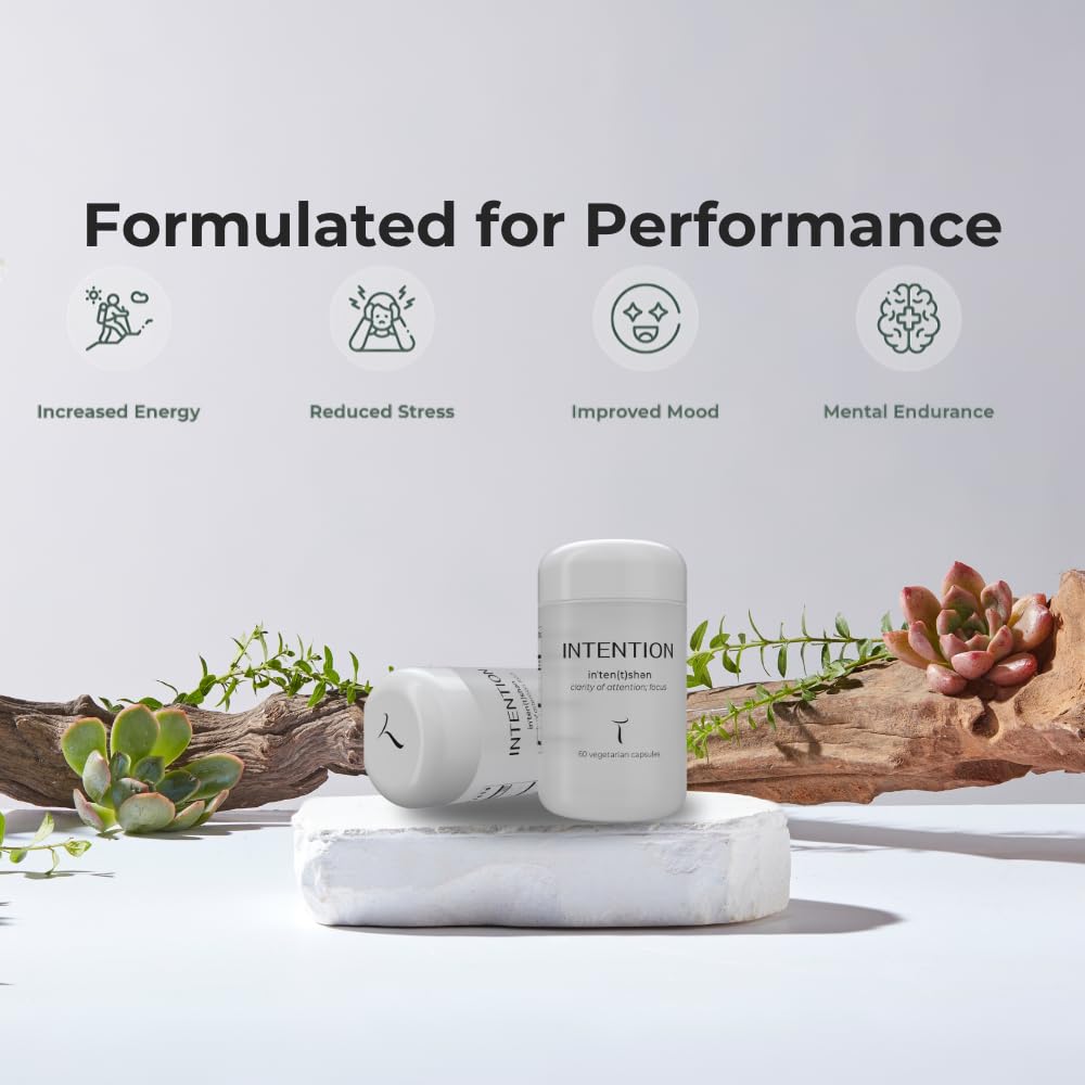 Setas Intention mushroom blend with Chaga and Cordyceps visuals.