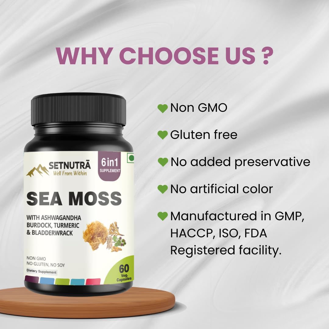 SETNUTRA Bladderwrack ingredients emphasizing mineral rich seaweed support
