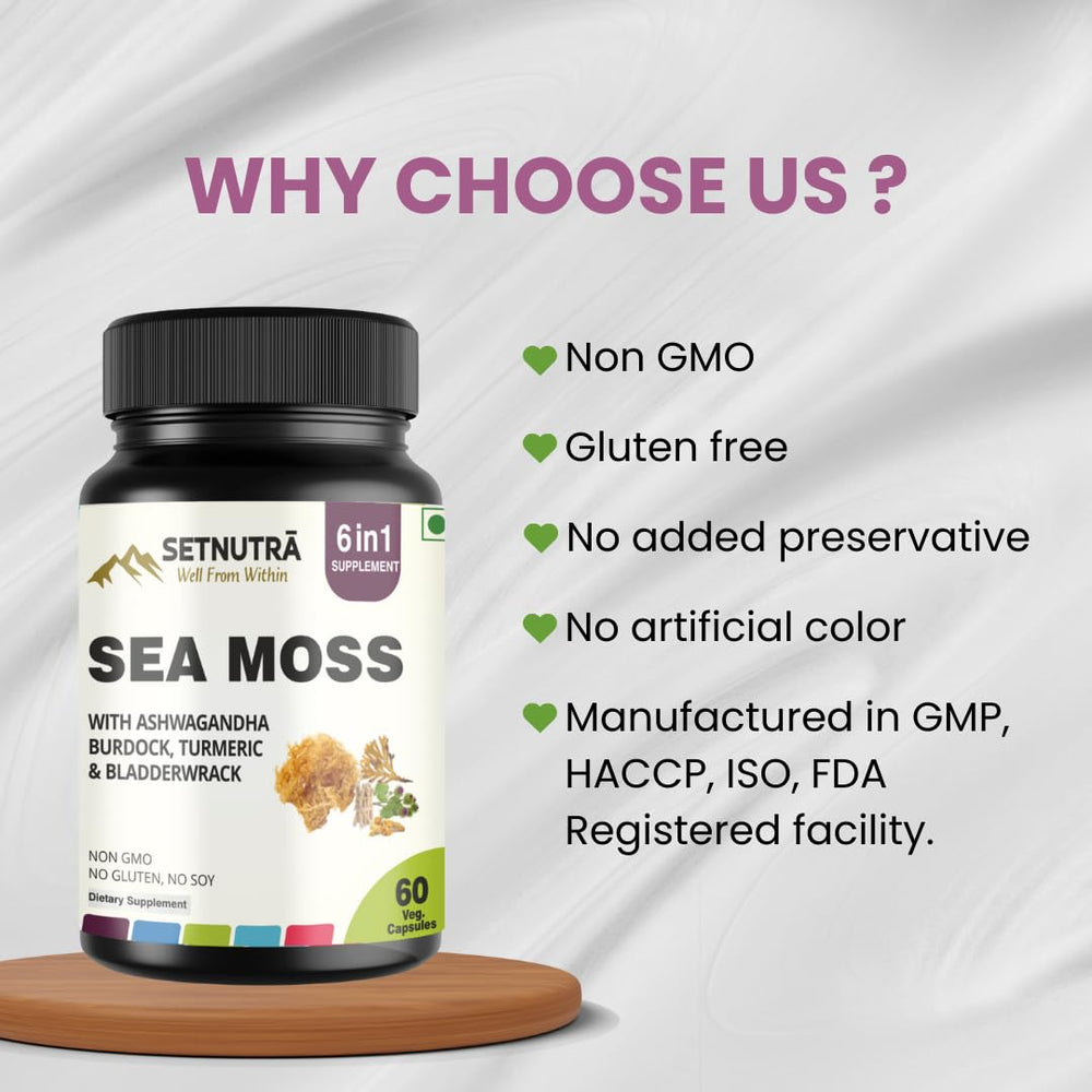SETNUTRA Bladderwrack ingredients emphasizing mineral rich seaweed support