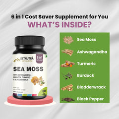SETNUTRA Well From Within Sea Moss six-in-one capsules for convenient daily use and potency