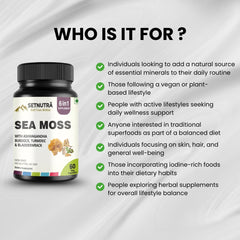 SETNUTRA Turmeric and Burdock capsules illustrating antioxidant and digestive wellness