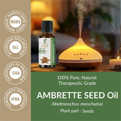 Amber bottle of Sheer Essence Ambrette Seed Oil suggests long-lasting fragrance in diffusers.