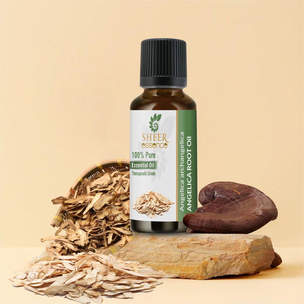 Sheer Essence Angelica Root Oil dropper ready for easy diffuser drops.