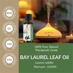 Sheer Essence fresh bay laurel leaves showing botanical origin for informed choice