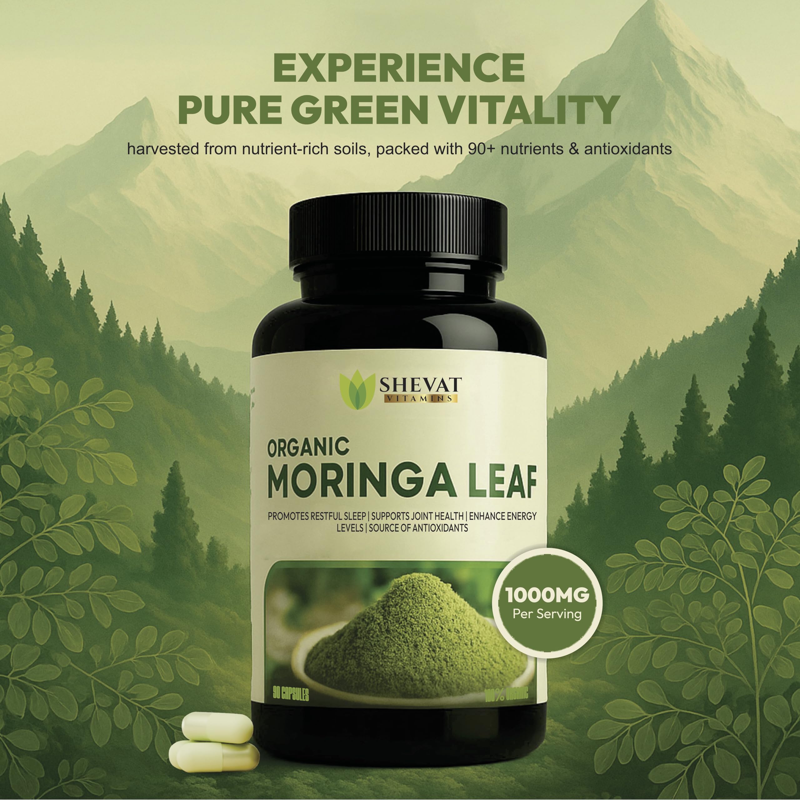 SHEVAT VITAMINS moringa capsules beside powder signaling natural daily nutrition.