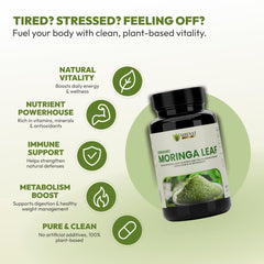 SHEVAT VITAMINS Organic Moringa capsules close-up highlighting easy daily nutrition.