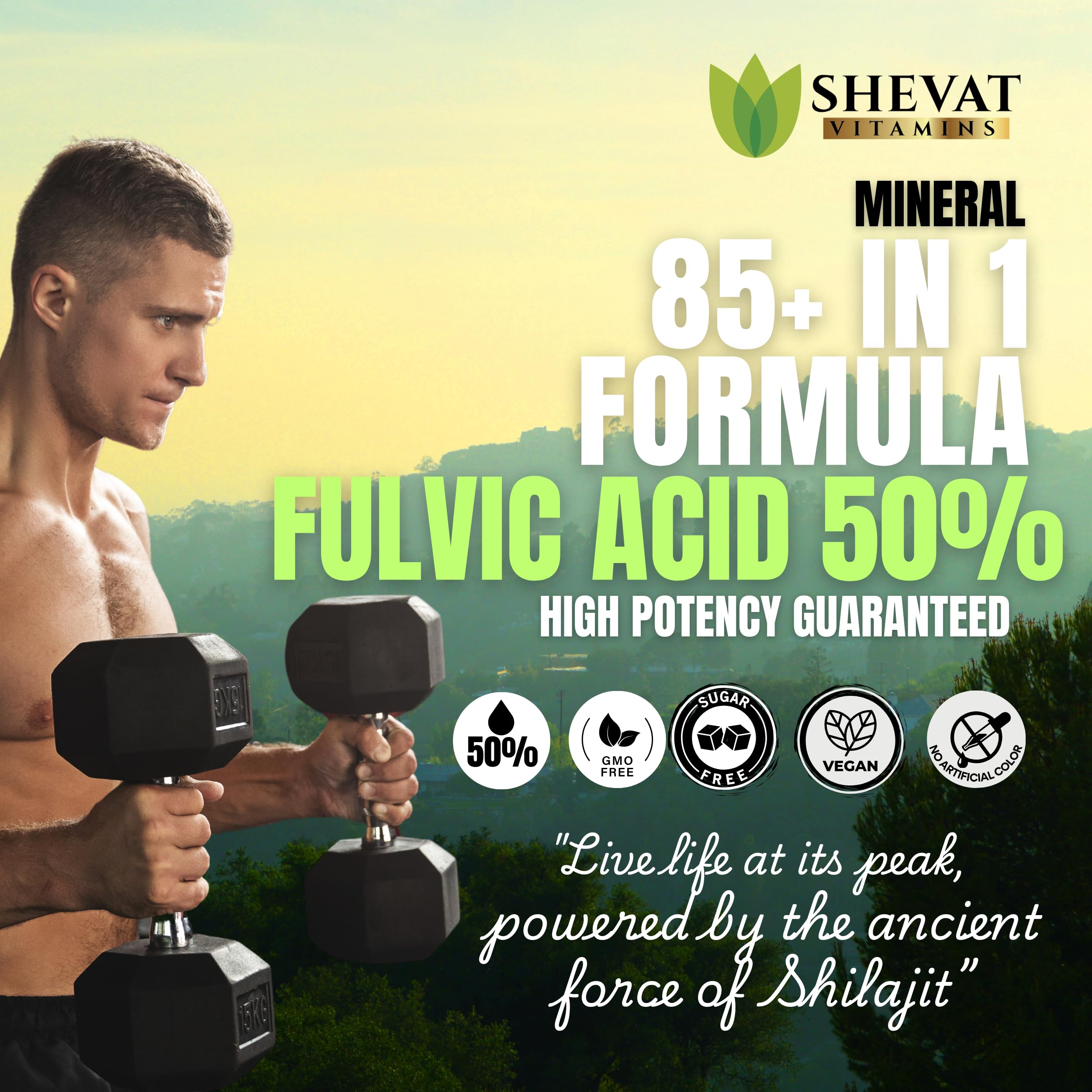 Close-up of Shilajit capsules highlighting pure Himalayan extract quality.