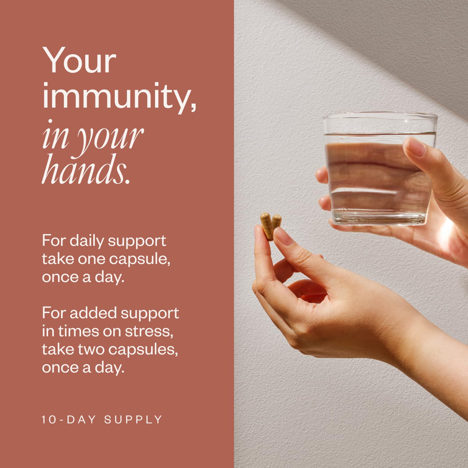 SHII AHCC balance icons illustrate everyday immune balance potential.