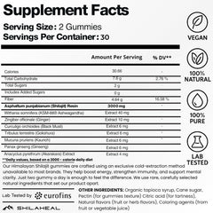 SHILAHEAL Shilajit gummies enhance focus and stamina during workouts