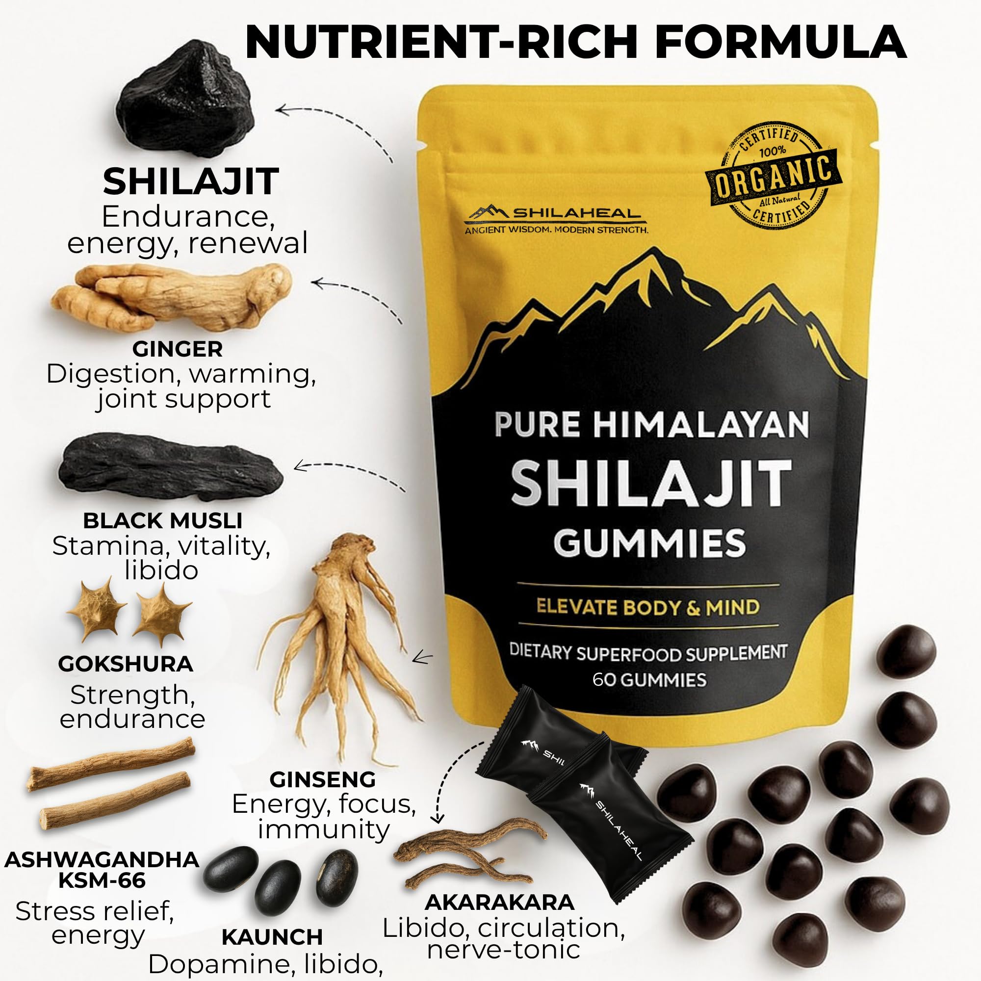 SHILAHEAL Shilajit gummies support immune function and everyday wellness
