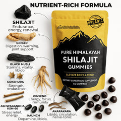 SHILAHEAL Shilajit gummies support immune function and everyday wellness