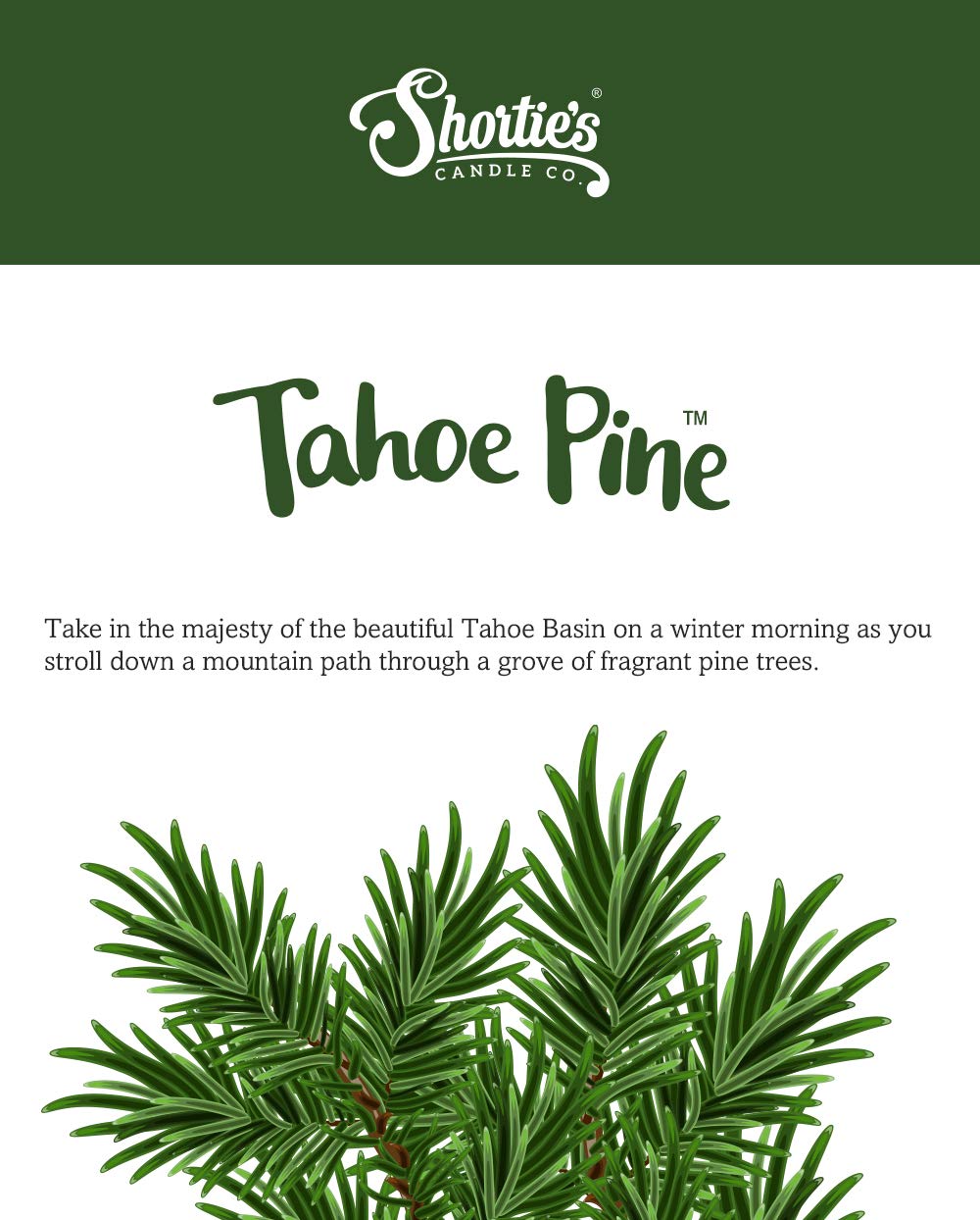 Shortie's Candle Company logo with pine motif evokes cozy winter vibes.