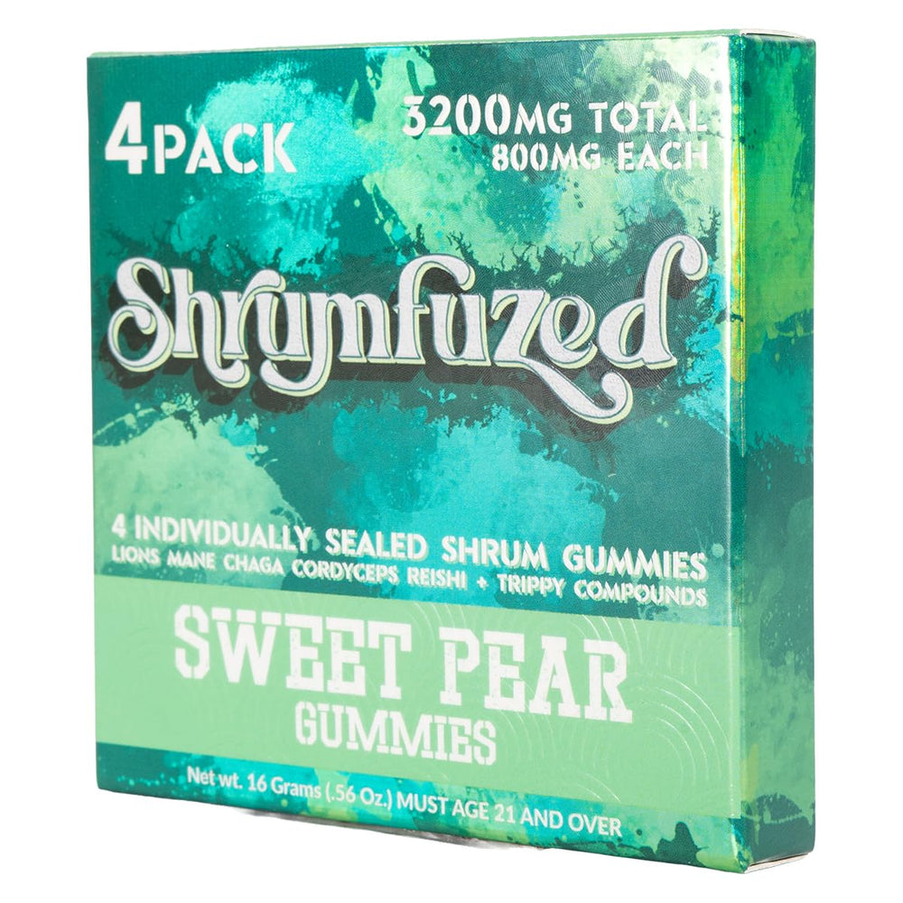 Illustration of Reishi, Lion’s Mane, Chaga, and Cordyceps in Shrumfuzed blend